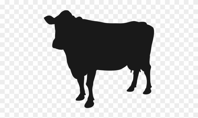 840x503 Cattle Clipart Transparent