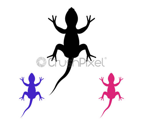 500x438 Lizard Icon, Stock Vector Crushpixel