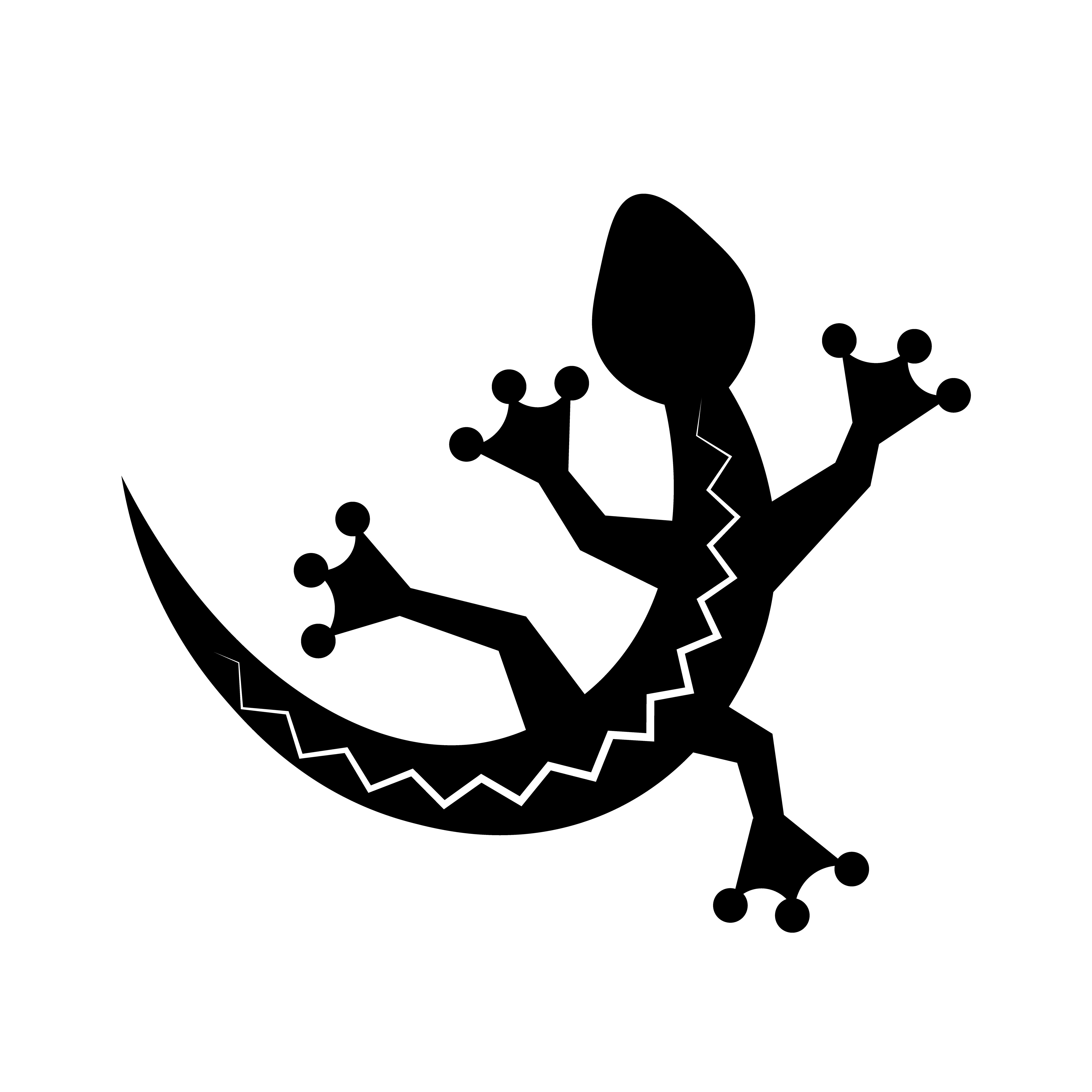 5000x5000 Lizard Icon Vector