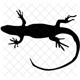 256x256 Lizard Icon Of Glyph Style