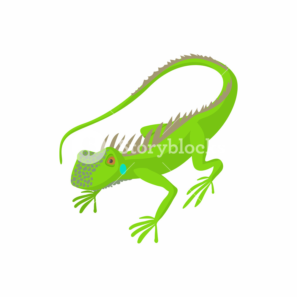 1000x1000 Lizard Icon In Cartoon Style Isolated On White Background Royalty