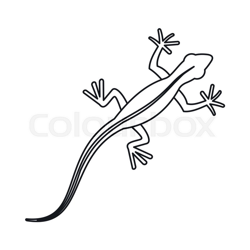 800x800 Lizard Icon In Outline Style Isolated Stock Vector Colourbox