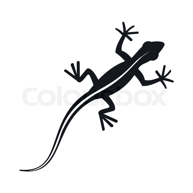 800x800 Lizard Icon In Simple Style Isolated Stock Vector Colourbox