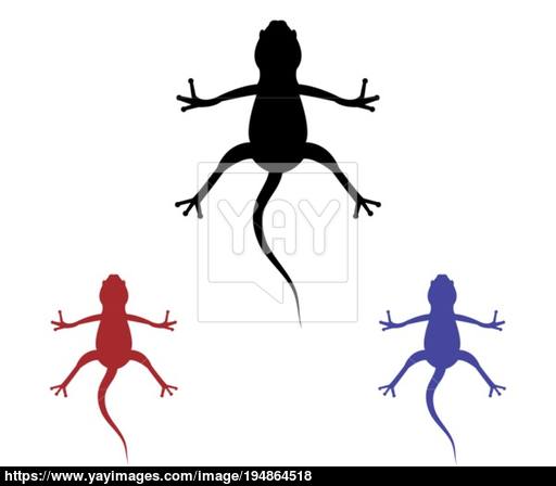 512x448 Lizard Icon Vector