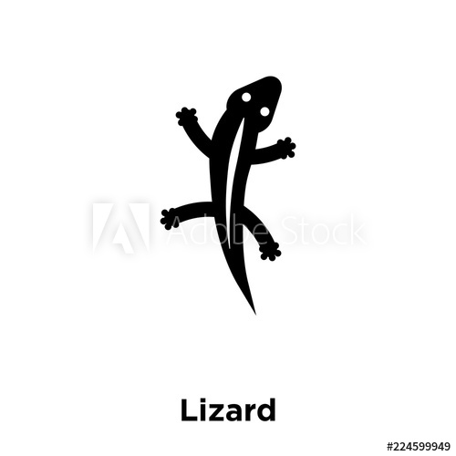500x500 Lizard Icon Vector Isolated On White Background, Logo Concept
