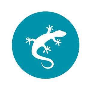 300x300 Blue Circle In Lizard Icon