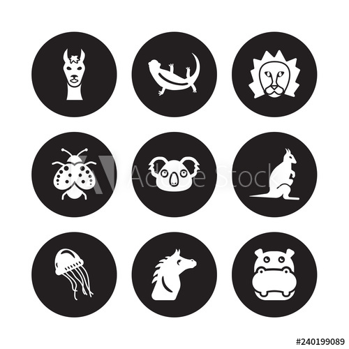 500x500 Vector Icon Set Llama, Lizard, Jellyfish, Kangaroo, Koala