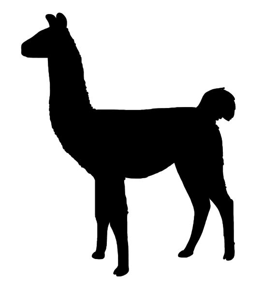 544x603 Llama Icon