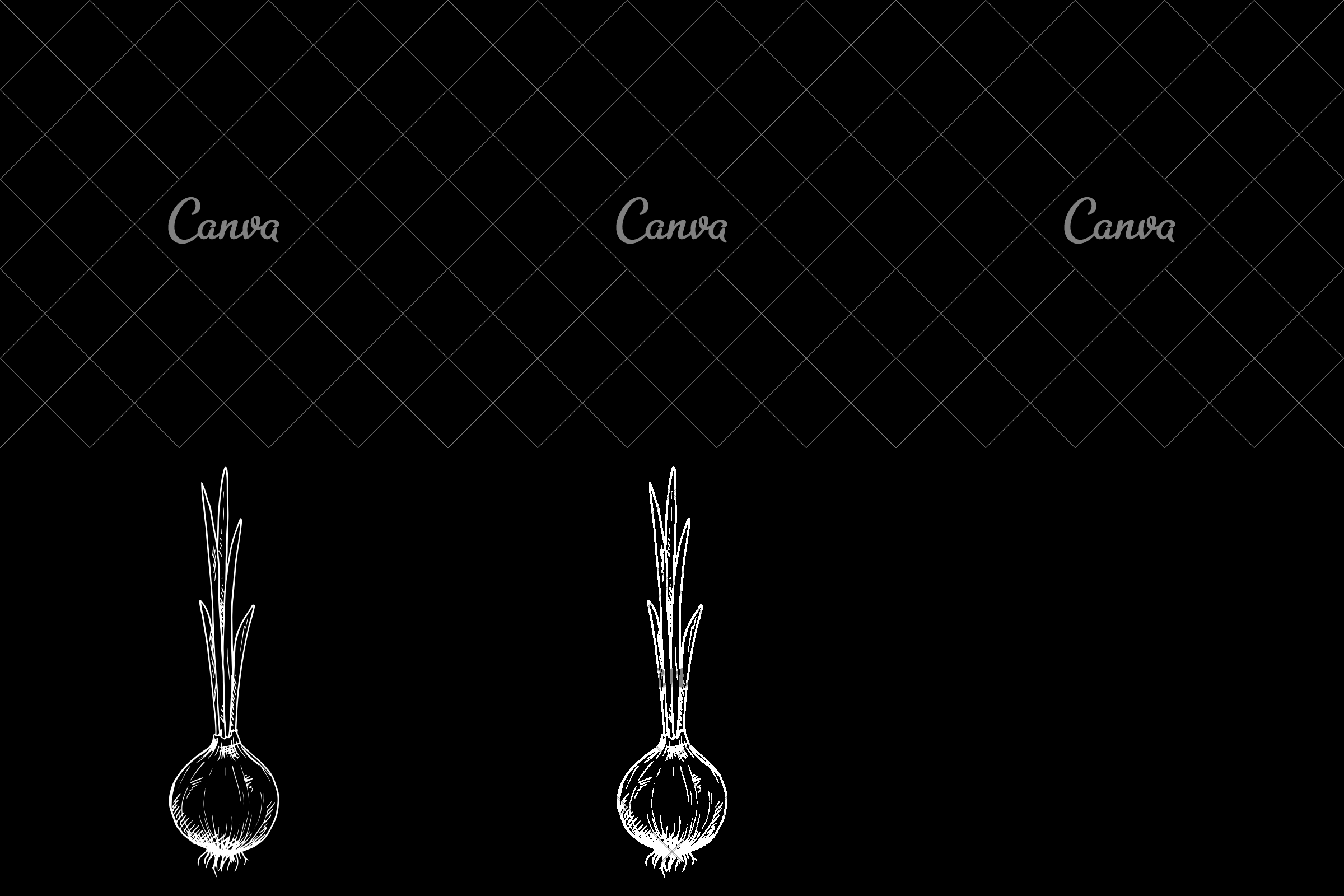 2400x1600 Onion Plant Icon