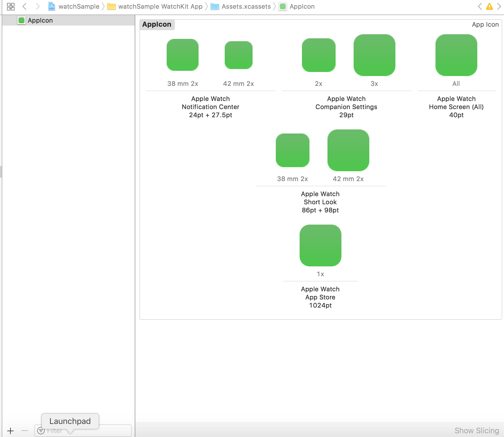1736x1506 App Icon Not Appearing In Activity App Using Healthkit