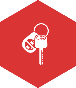 261x300 Lock Roll Security