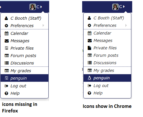 503x410 Moodle In English Essential Theme Font Awesome Icons Disappeared