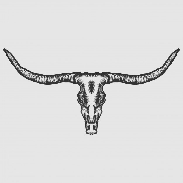 626x626 Longhorn Vectors, Photos And Free Download