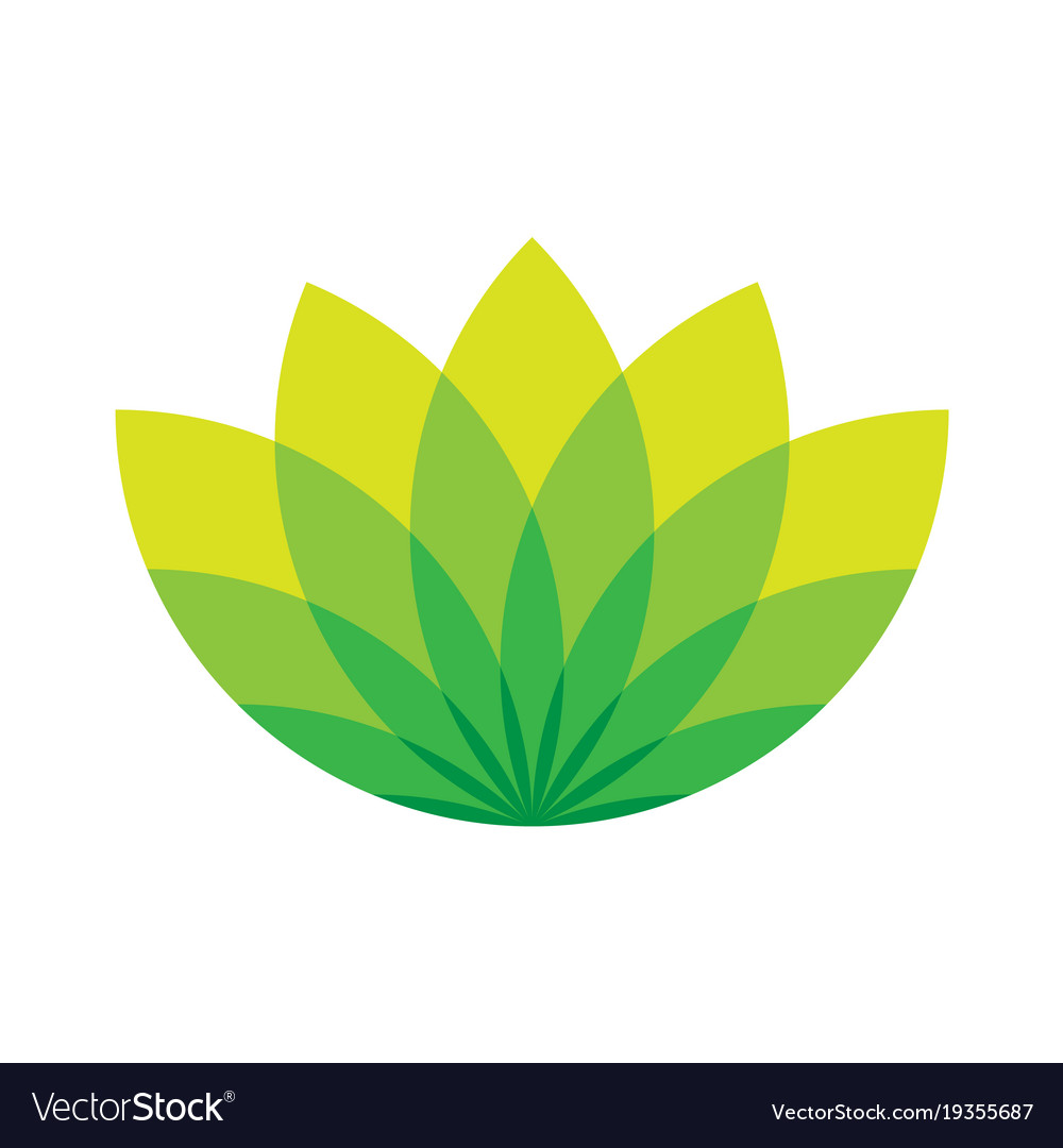 1000x1080 Lotus Icon