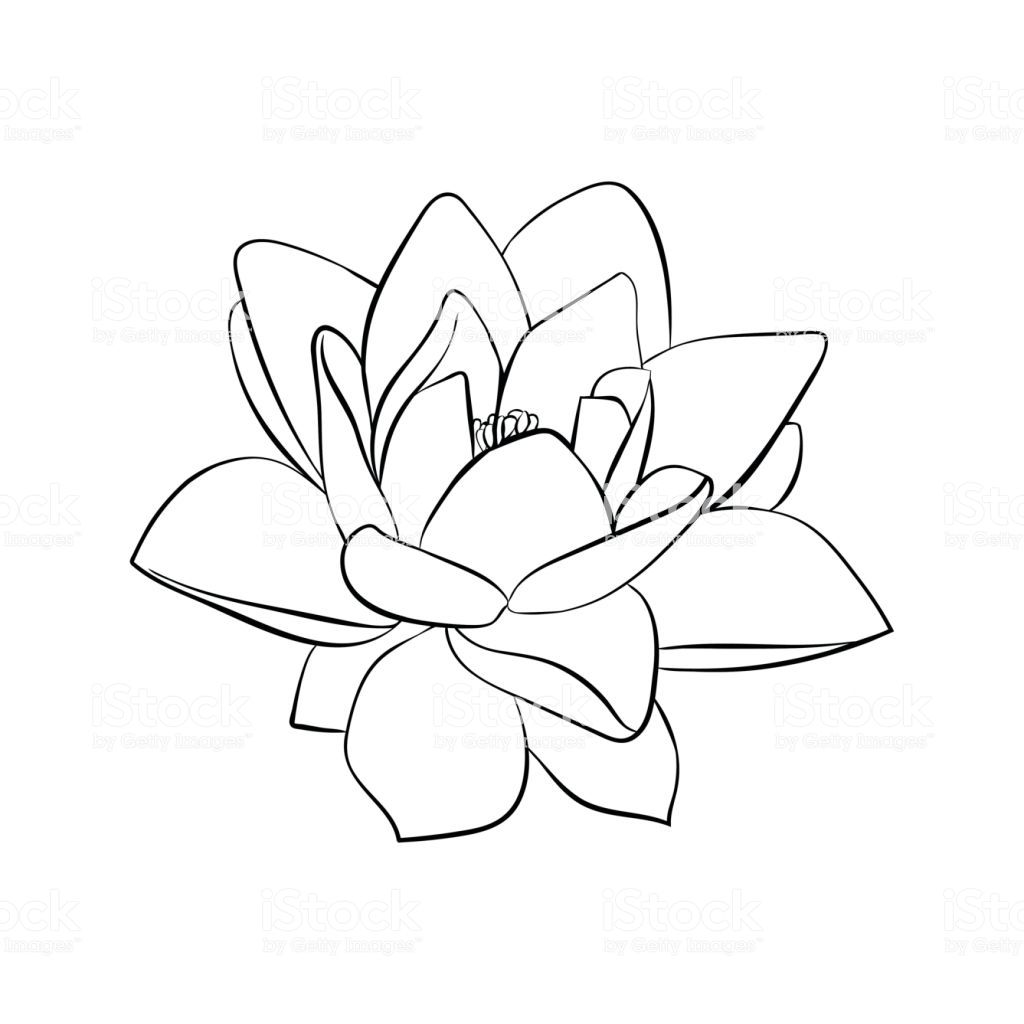 Lotus Flowers Icon The Black Line Drawn On A White Background 1024x1024 Lotus Flowers Icon The Black Line Drawn On A White Background