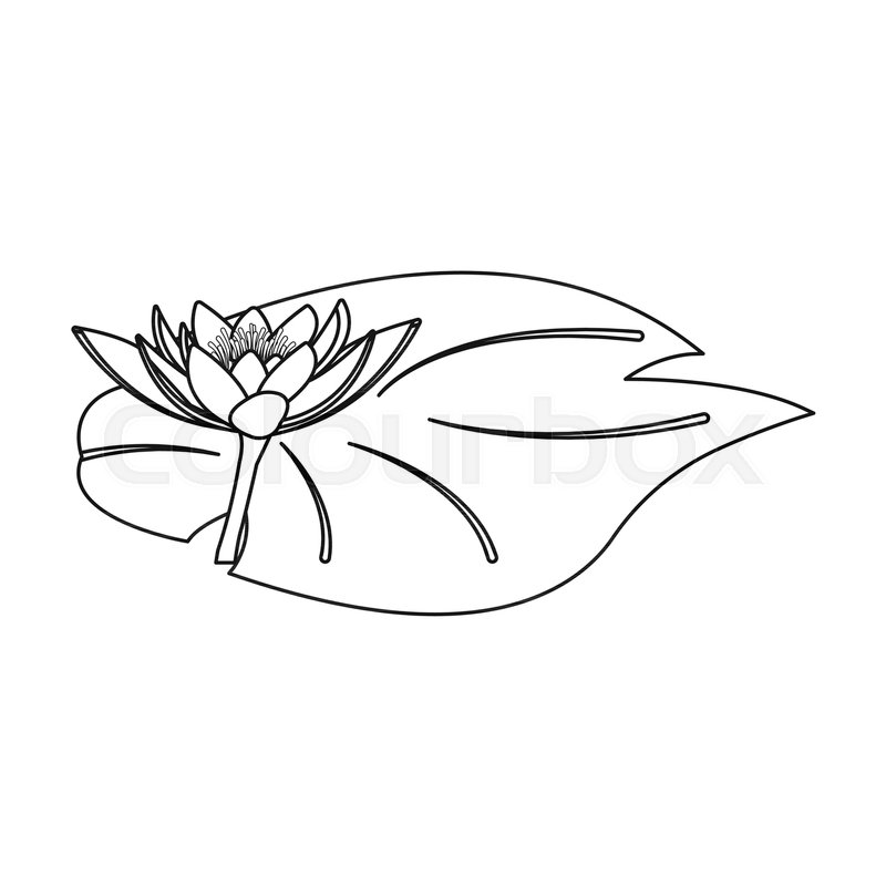 800x800 Lotus Icon In Outline Style Isolated On White Background India
