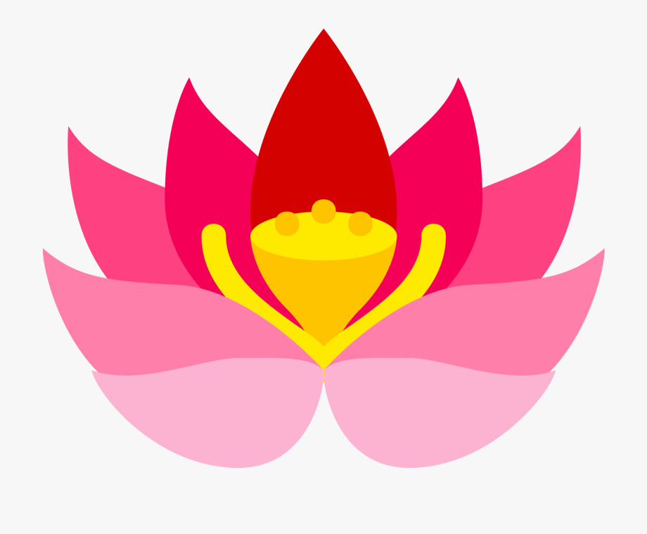 920x759 Flower Graphic Png