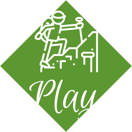 500x500 Play Icon