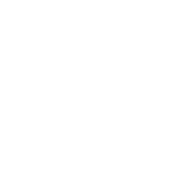 192x192 Loyalty Icon Material Ui