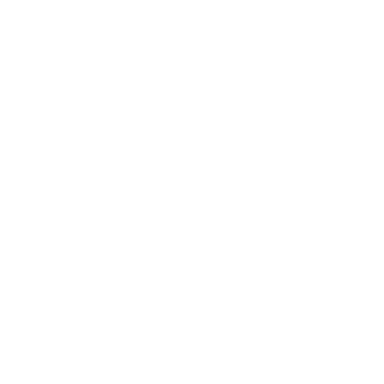 350x350 Icon Loyalty Program Preview