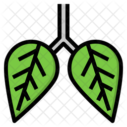 256x256 Green Lung Icon Of Colored Outline Style