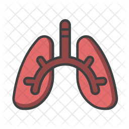 256x256 Lung Icon Of Colored Outline Style