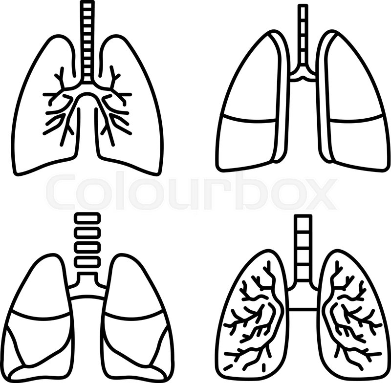 800x784 Lung Icon Set Outline Set Of Lung Stock Vector Colourbox