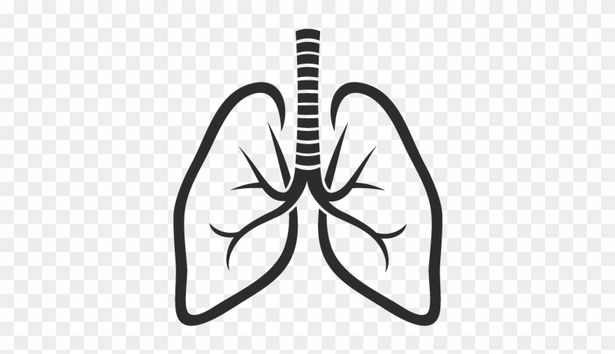 880x506 Lungs Icon