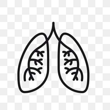 360x360 Lungs Icon Png Images Vector And Free Download