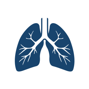 78 Lung icon images at Vectorified.com