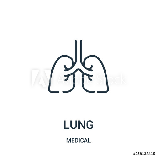 500x500 Lung Icon Vector From Medical Collection Thin Line Lung Outline