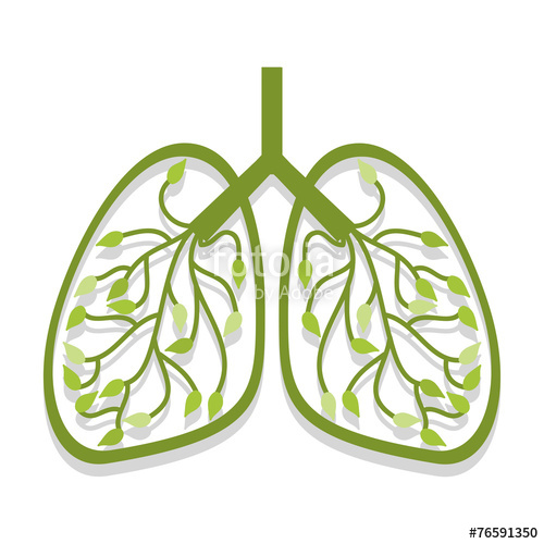 500x500 Human Lung Icon Tree Leaves Stock Image And Royalty Free Vector