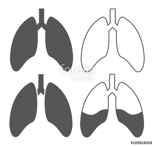 500x475 Human Lung Icon Health Care Icon Lungs