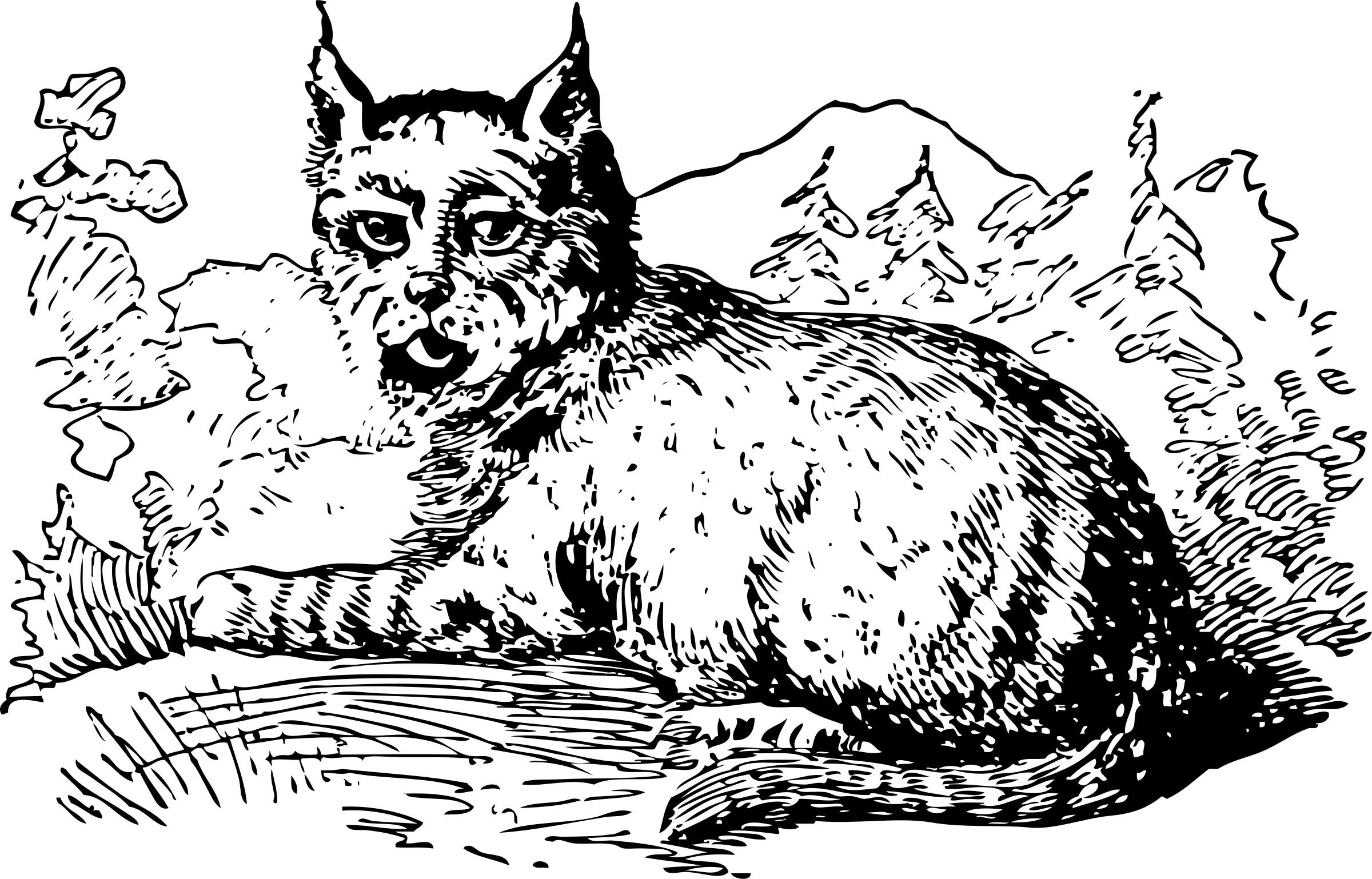 2400x1538 Lynx Icons Png