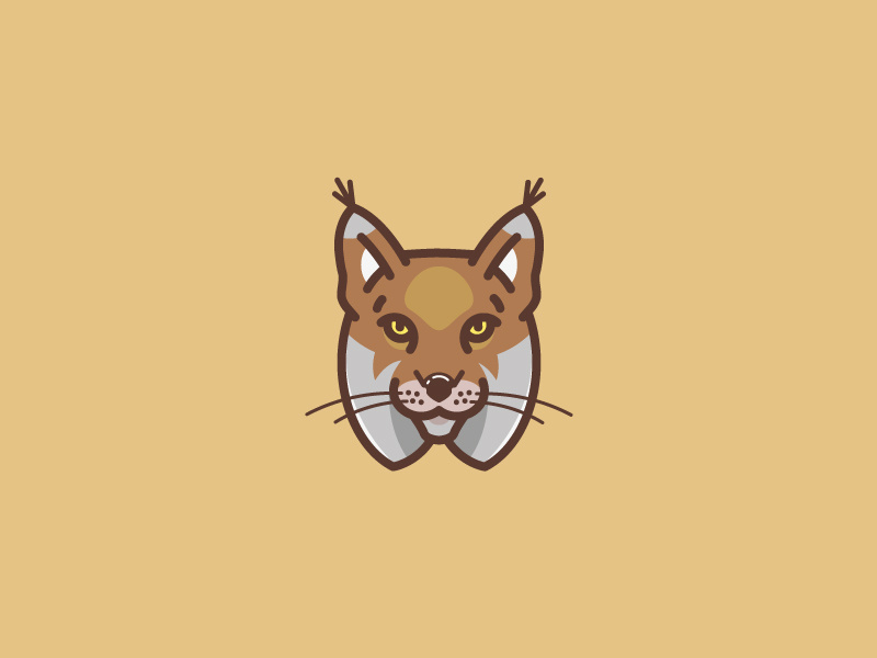 800x600 Lynx Icon