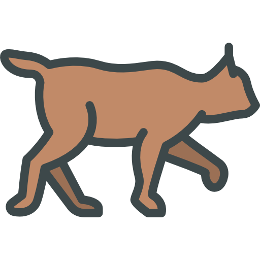512x512 Lynx Icon