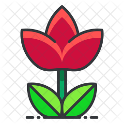 256x256 Macro Icon Of Colored Outline Style