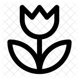 256x256 Macro Icon Of Line Style