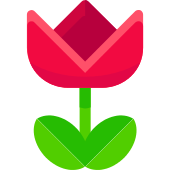 170x170 Macro Png Icon