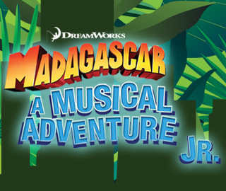 320x270 Madagascar Icon