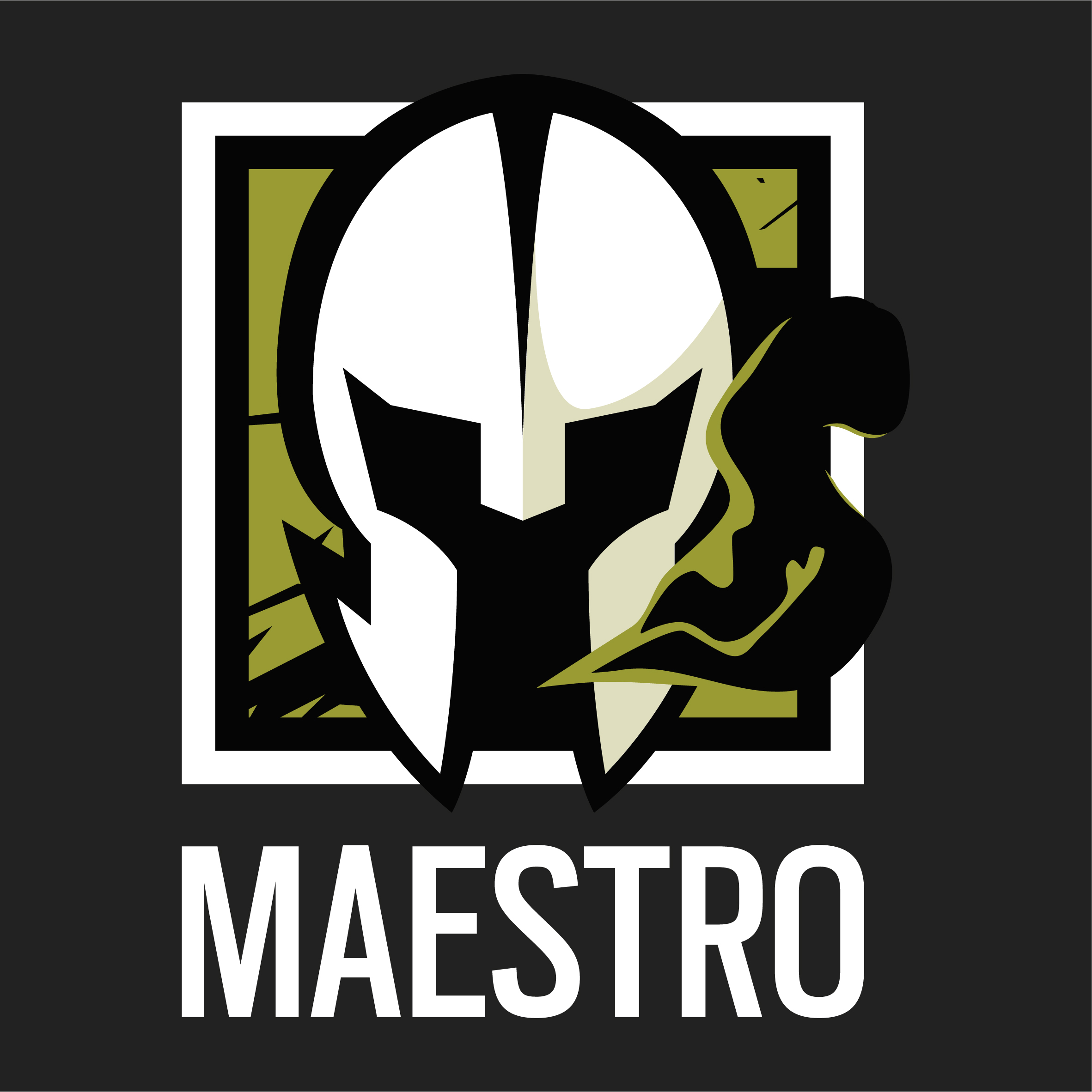 Maestro steam profile фото 66