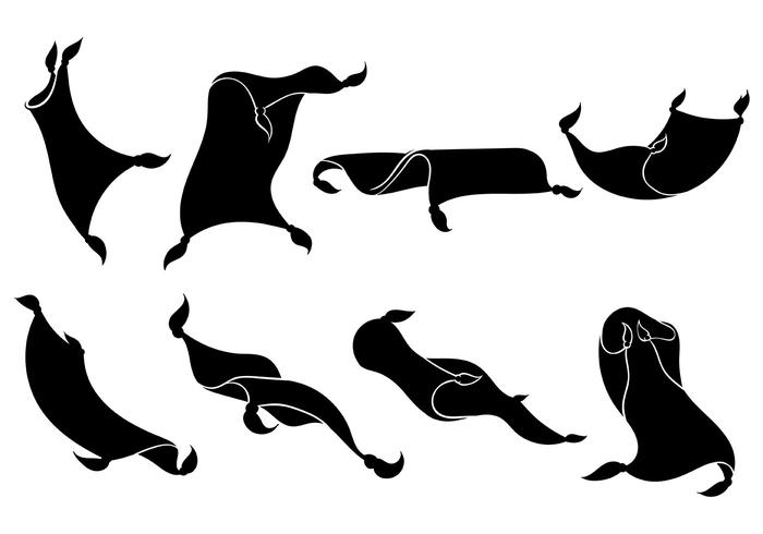 700x490 Free Magic Carpet Icons Vector