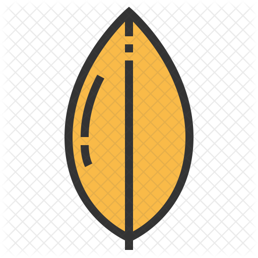 512x512 Magnolia Icon Of Colored Outline Style