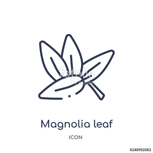500x500 Magnolia Leaf Icon From Nature Outline Collection Thin Line