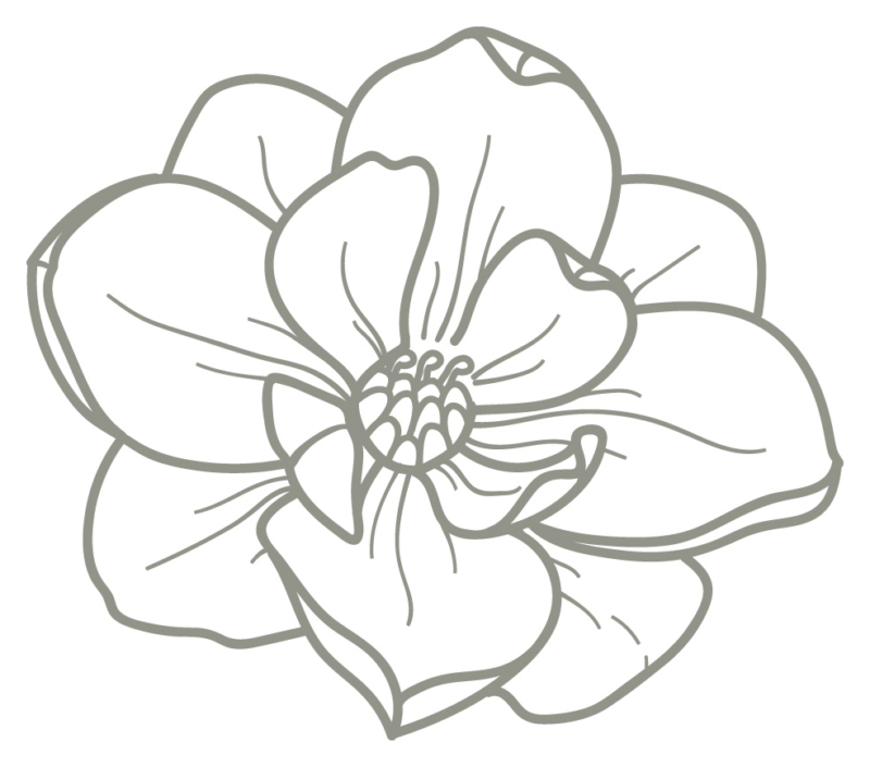 800x705 Get Involved