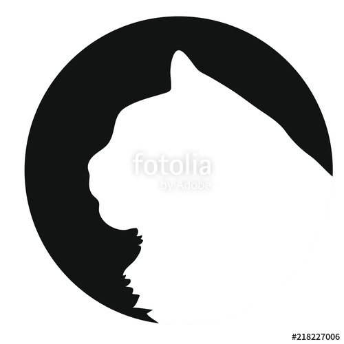 500x500 Maine Coon Cat Icon Stock Image And Royalty Free Vector