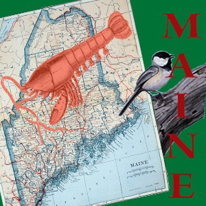 300x300 Maine Icon
