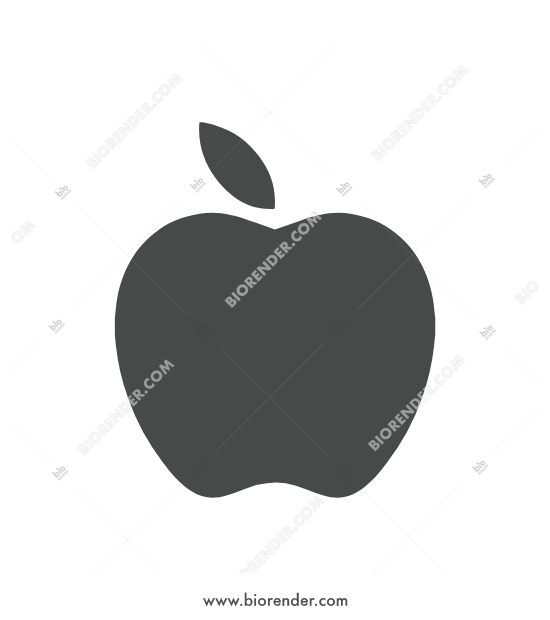 550x620 Biorender Apple