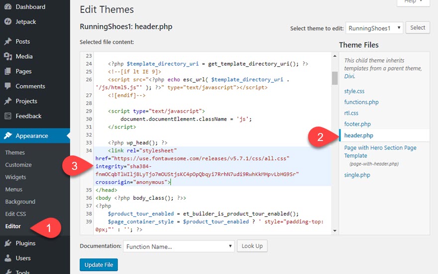 880x550 How To Use Font Awesome On Your Wordpress Website Elegant Themes