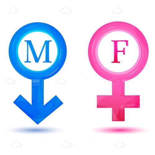 500x500 Pink And Blue Male And Female Icons